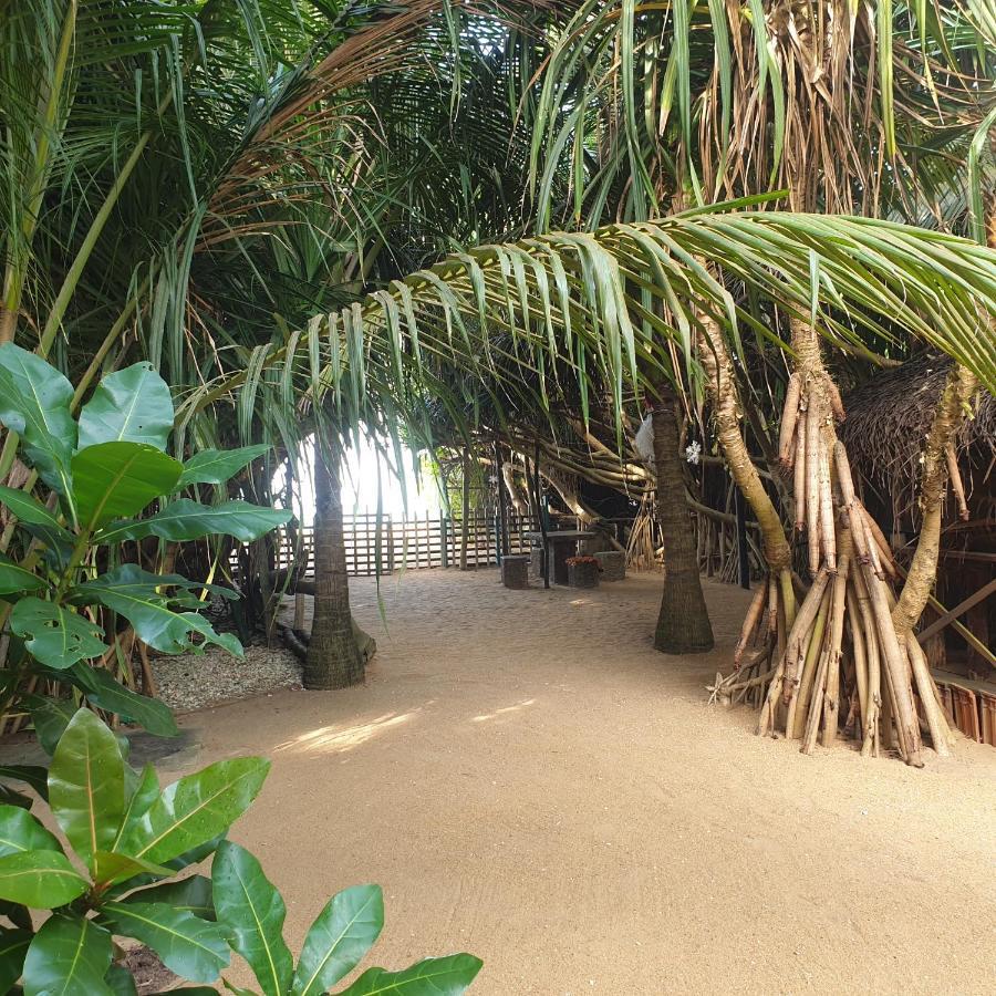 Happy Cocos Beach House Waskaduwa Extérieur photo
