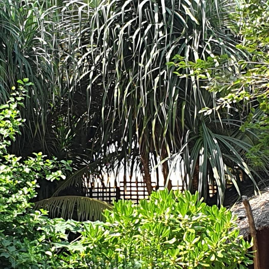 Happy Cocos Beach House Waskaduwa Extérieur photo